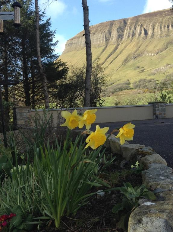 Benbulben Farmhouse B&B Drumcliff Exterior foto